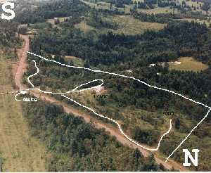 roads