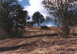 site2